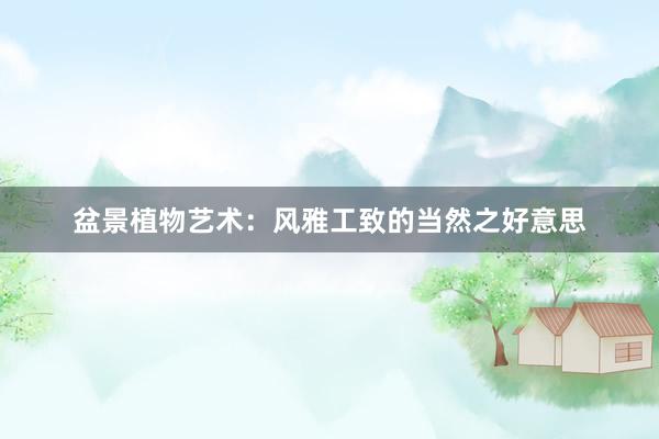盆景植物艺术：风雅工致的当然之好意思
