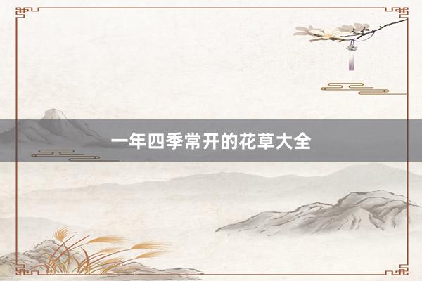 一年四季常开的花草大全