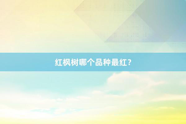 红枫树哪个品种最红？