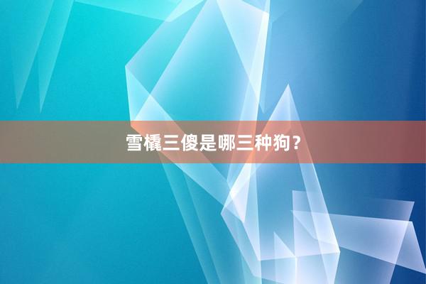 雪橇三傻是哪三种狗？