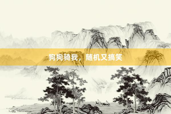 狗狗骑我，随机又搞笑