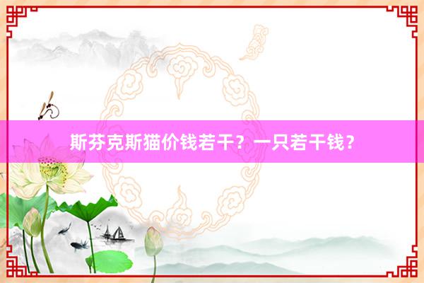 斯芬克斯猫价钱若干？一只若干钱？