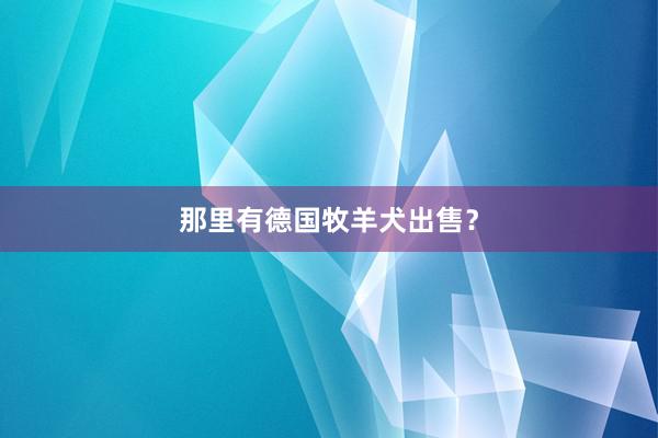 那里有德国牧羊犬出售？